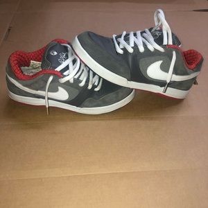 Nike Dunk Paul Rodriguez